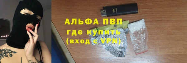 ГАЛЛЮЦИНОГЕННЫЕ ГРИБЫ Абаза