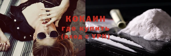 ГАЛЛЮЦИНОГЕННЫЕ ГРИБЫ Абаза