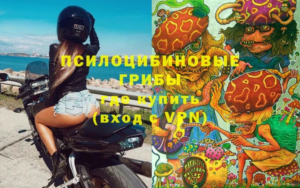 прущая мука Пересвет