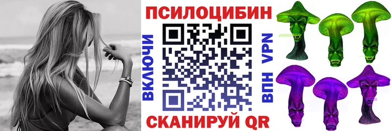 Псилоцибиновые грибы Psilocybe  Саратов 